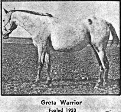 greta warrior