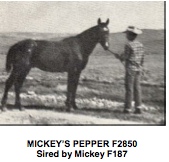 mickeyspepperf2850