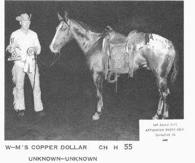 copperdollar7
