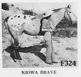 kiowabrave