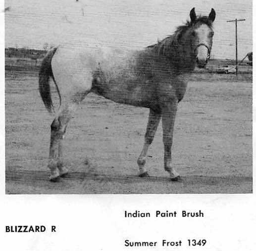 blizzardrf1912