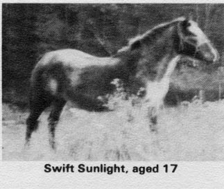 swiftsunlight1387