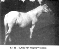 Sunburst Meldoy