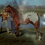 Chief Red Man
