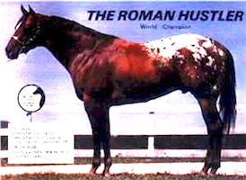 The Roman Hustler