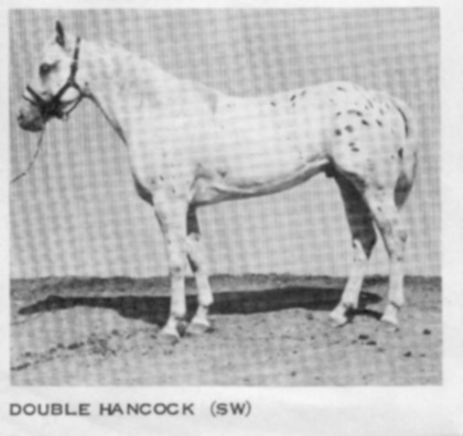 doublehancock2