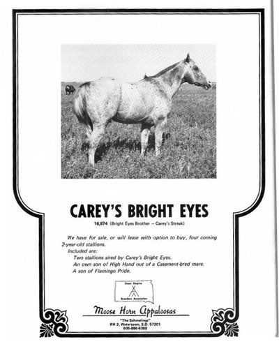 careysbrighteyes3