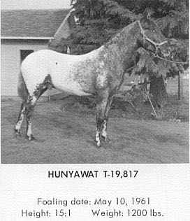 hunyawat19817