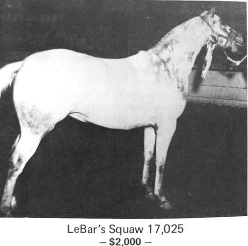 lebarssquaw17025
