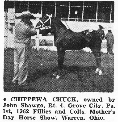 ChippewaChuck