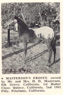 MastersonsFrosty
