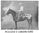 PeacocksComancharo