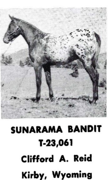 SunaramaBandit