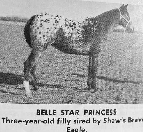 belle star princess