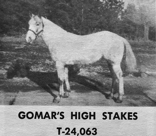 gomars high stakes