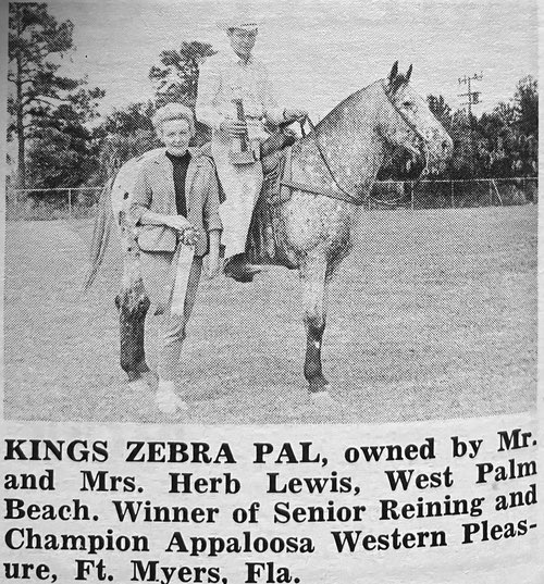 kings zebra pal