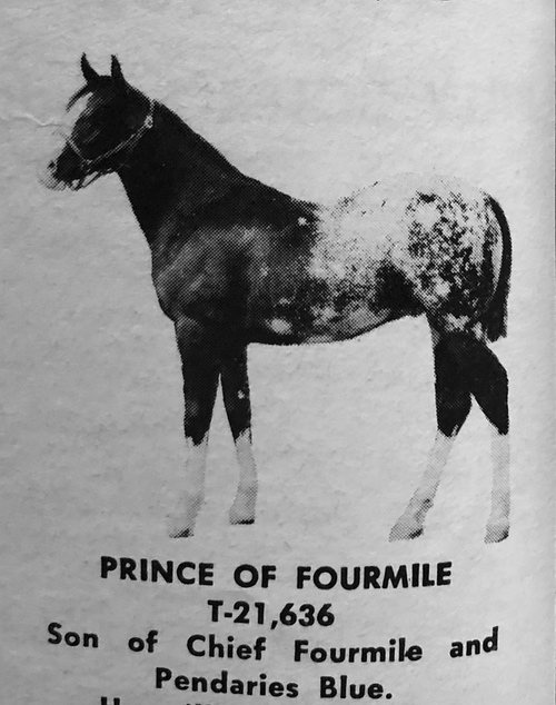 prince of fourmile