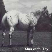 CheckersToy