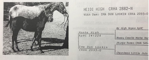 Heidi High