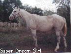 SuperDreamGirl