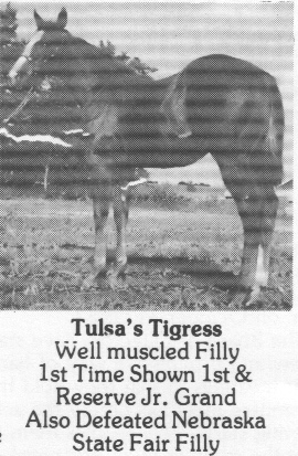 TulsaTigress