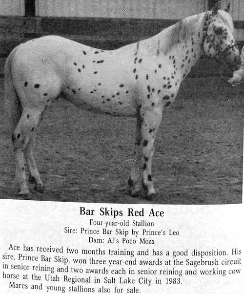 bar skips red ace