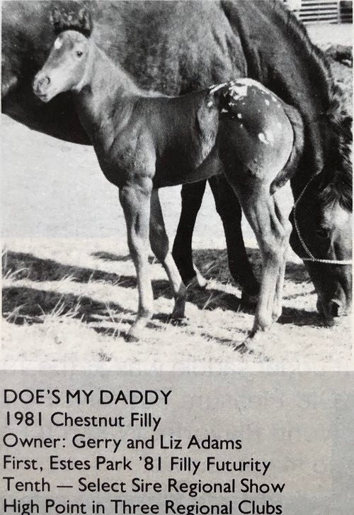 does my daddy