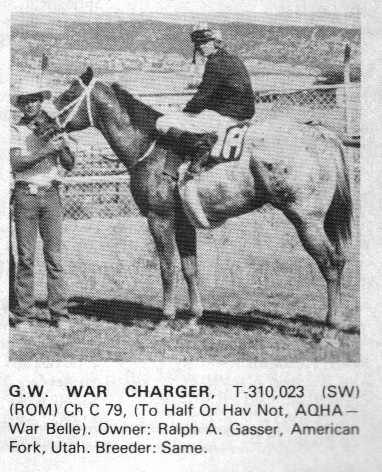 gwwarcharger