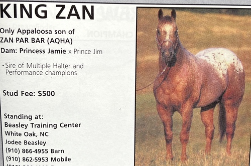 king zan