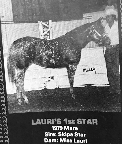 lauris first star