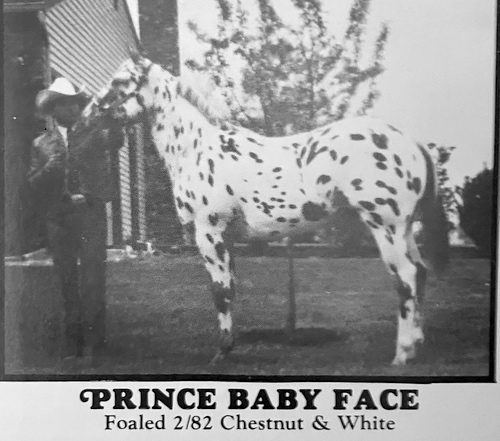prince baby face