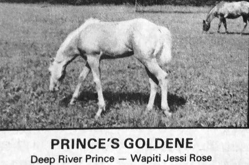 prince bobbi bain and princes  goldene
