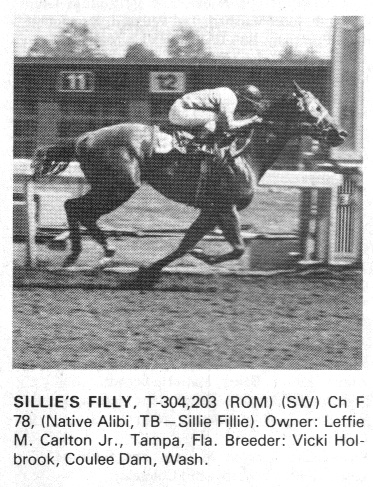 silliesfilly