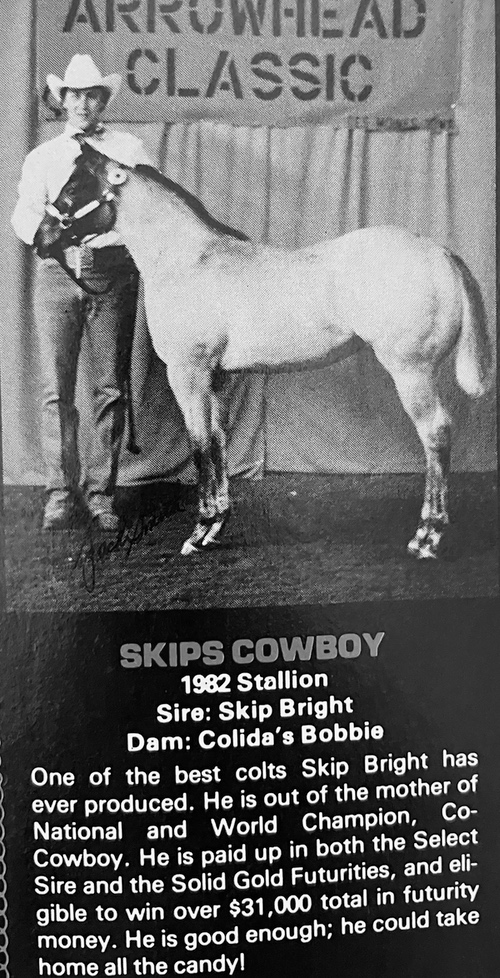 skips cowboy