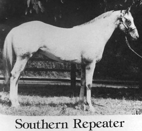 southern repeater