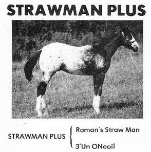 strawmanplus
