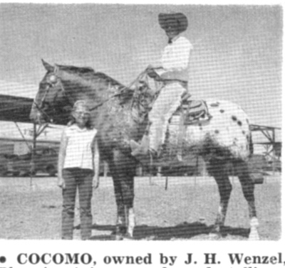 cocomot4381