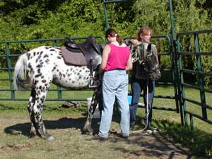 Cocheta first saddling