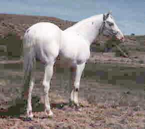 SA Hinhanska