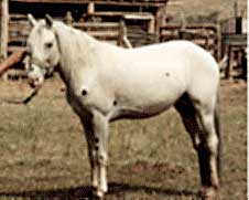 SA Hinhanska
