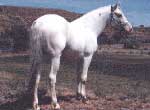 Hinhanska