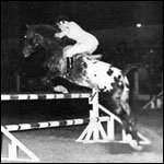 Chief War Paint F-3532