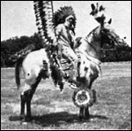 Dancer's Jim Dandy F-3575