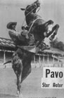 Pavo F-56