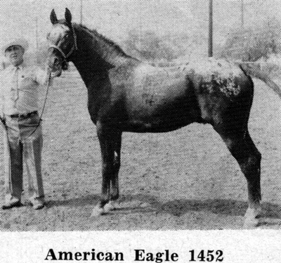 americaneaglef1452