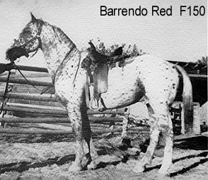 barrendoredf150