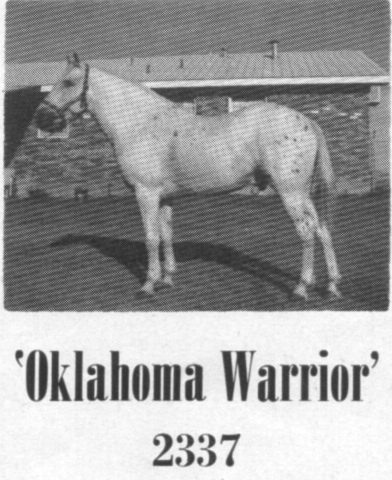 oklahomawarriorf2337