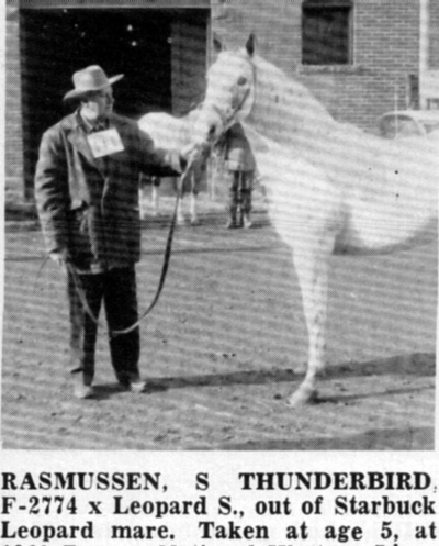 rasmussensthunderbirdf2774a