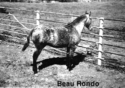 beaurondo