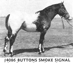 buttonssmokesignal